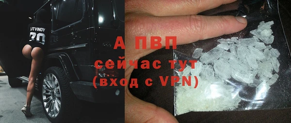 мяу мяу мука Богданович