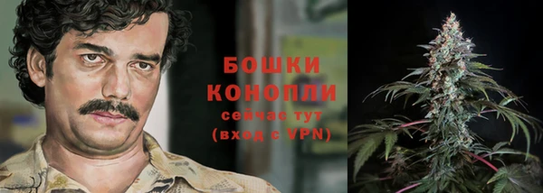 мяу мяу мука Богданович