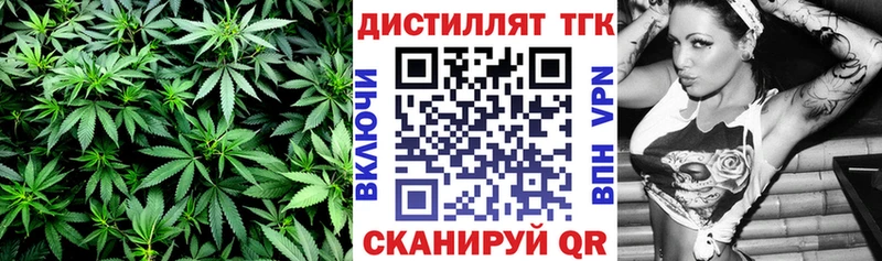 где можно купить   Северская  ТГК вейп 